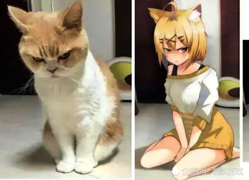 当动物拟人化后 猫咪变少女 二哈表情到位 见到图四 我恋爱了 腾讯新闻