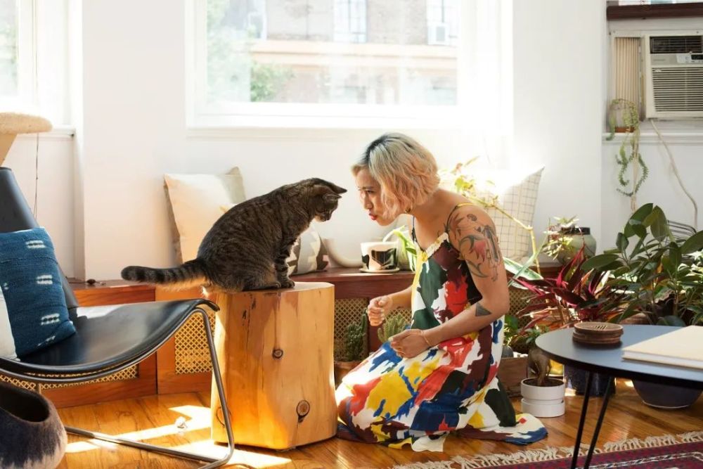 征集-你与萌宠宅家摄影_腾讯新闻