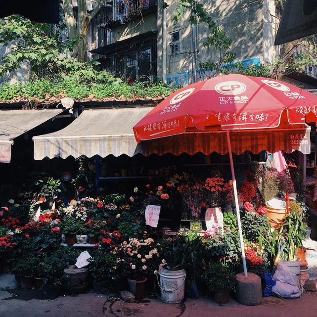 腾讯内容开放平台