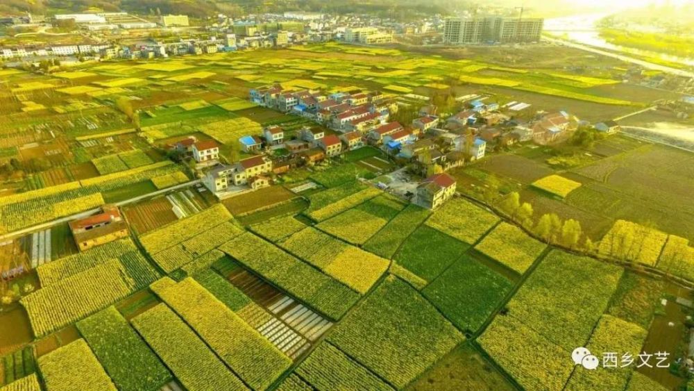 漢中油菜花節(jié)各縣區(qū)觀花線路公布！插圖6