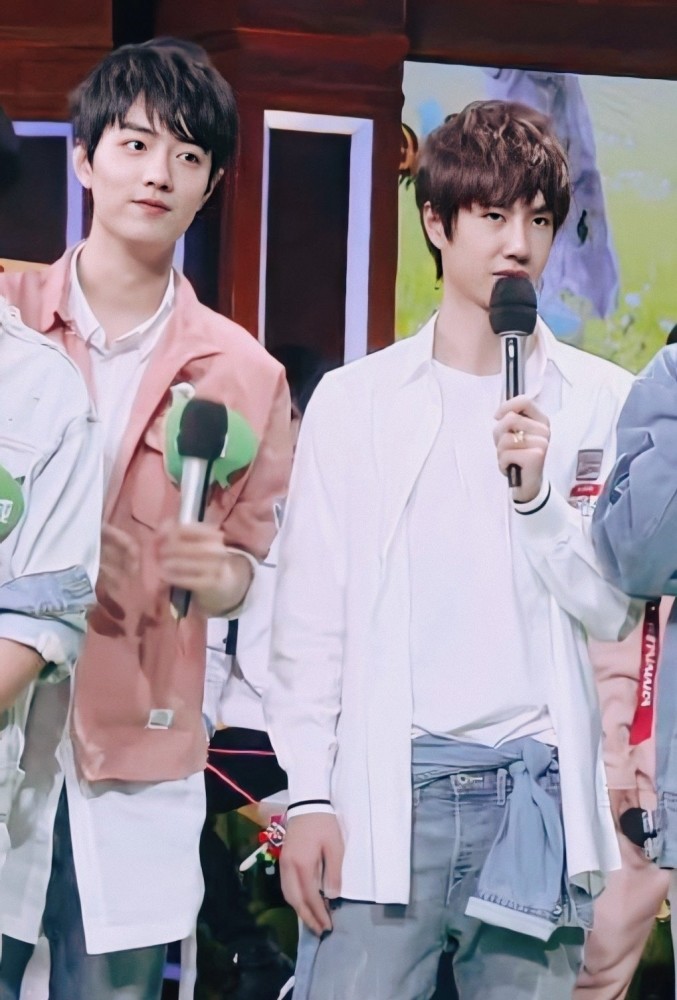 肖战王一博花田初遇三周年!