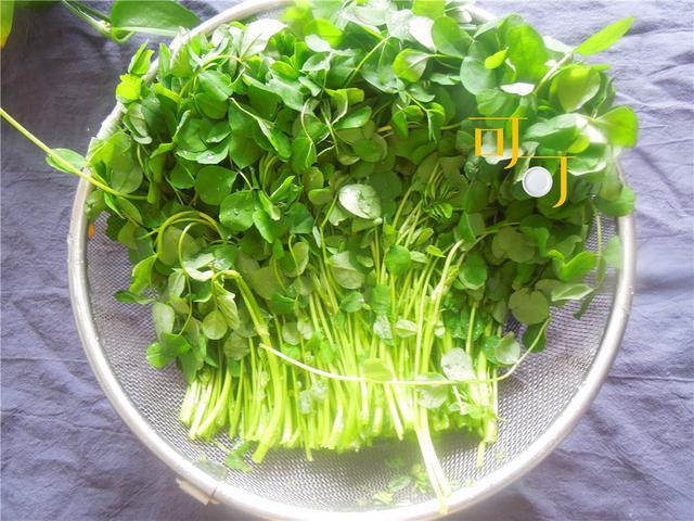 上海本帮菜里少不了的一道酒香草头尝尝春天的味道