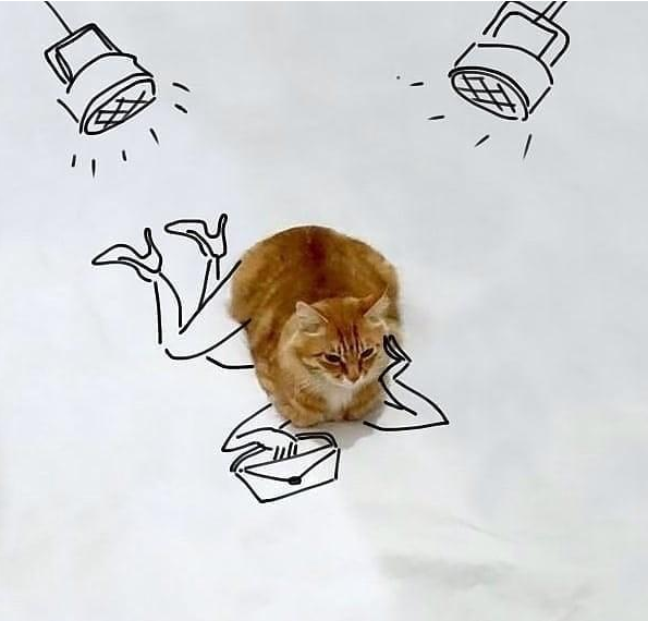 拖地绝对是一流的,吸水性不是一般的好勤劳小猫仆,什么脏活累活都能干