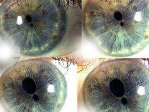 拥有帝王之象的重瞳者并非小说虚构历史上真实出现过