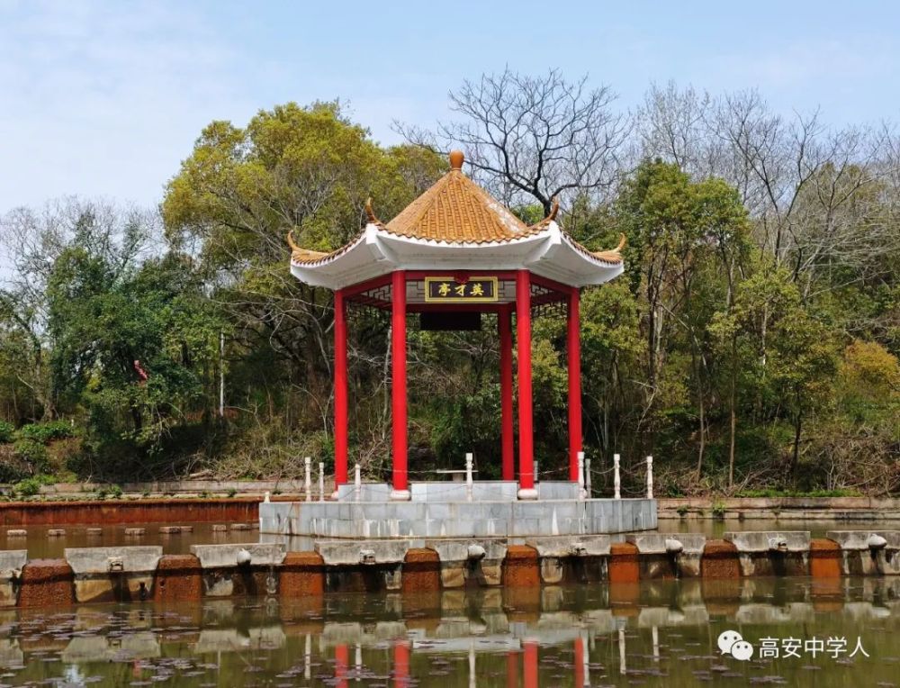 春暖花開高安中學校園春景讓你看個夠