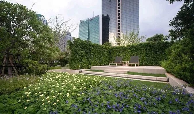 獨有的後花園,植物配置以及視線,一覽無餘整個城市的盛景