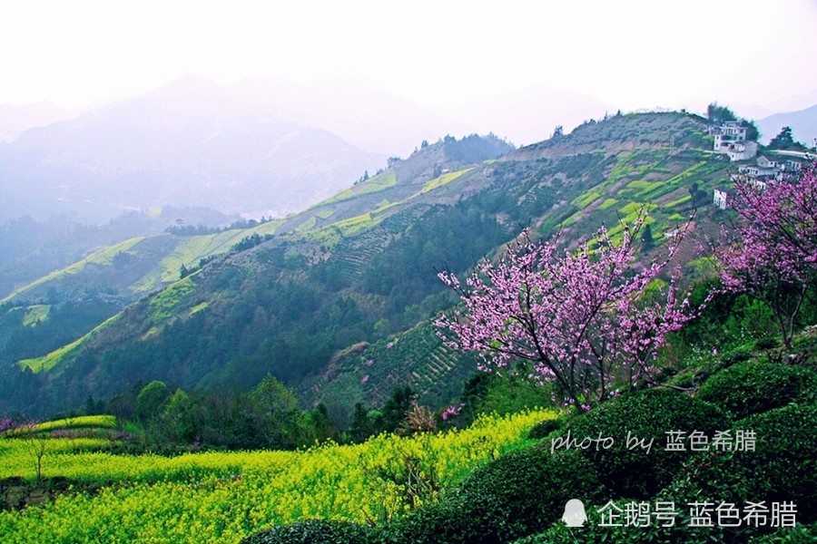 詩詞攝影怎麼表現出我見青山多嫵媚料青山見我多如是的意境