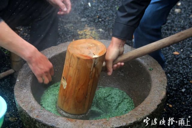 做青饼捣青麻糍在天童老街品青赏春