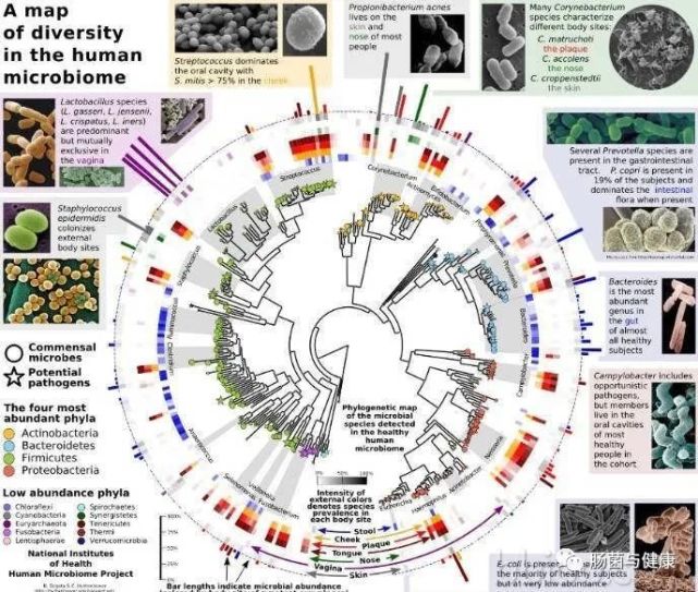 人工智能＋血液微生物DNA检测可以诊断癌症？