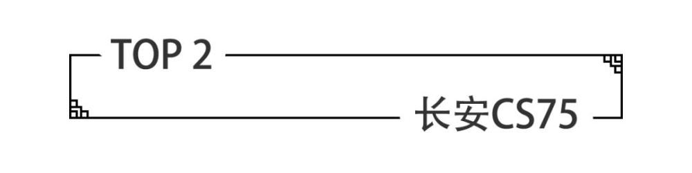 2月份SUV销量排行榜前10出炉，有款车型让人意想不到！(图5)