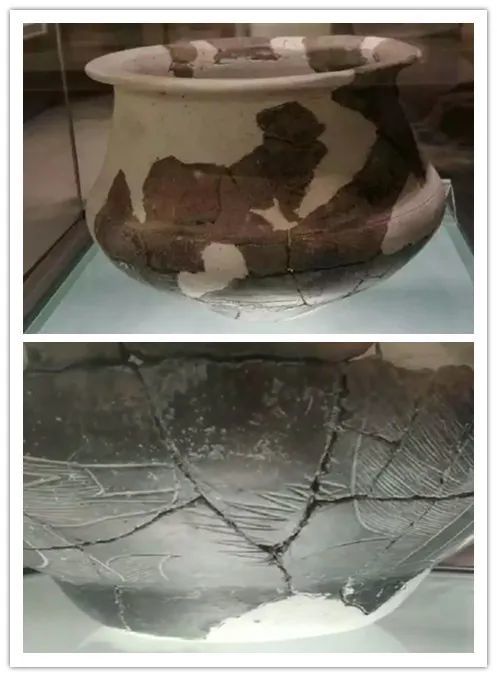 富河文化富河文化因1962年发现于赤峰市巴林左旗浩尔吐乡富河沟门而得