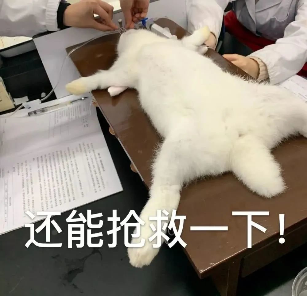 这10个期末最惨专业 仿佛听到医学生的哭声 腾讯新闻