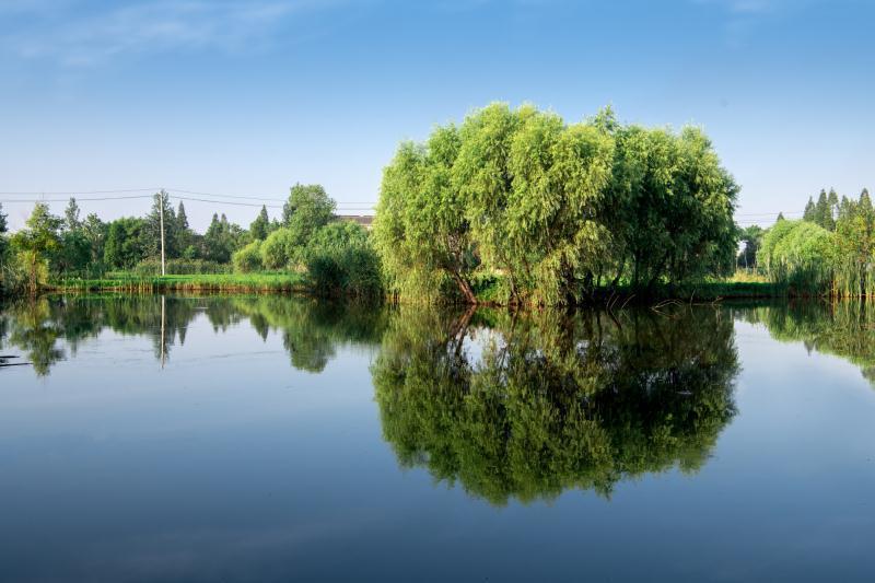 扬中市八桥镇幸福村上榜国家森林乡村!