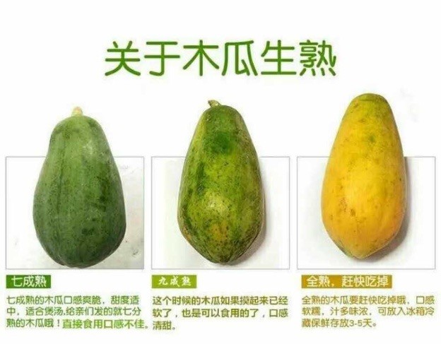 青木瓜的催熟方法