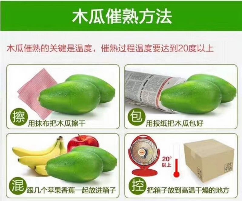 青木瓜的催熟方法