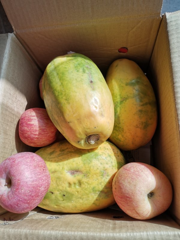 青木瓜的催熟方法