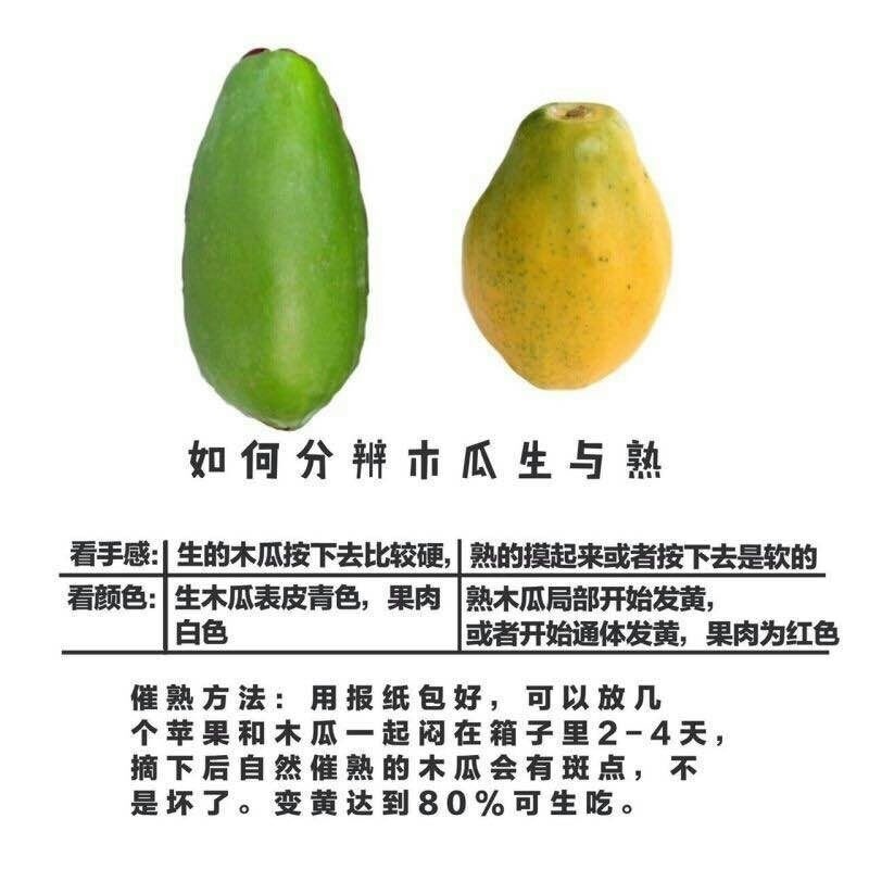 青木瓜的催熟方法