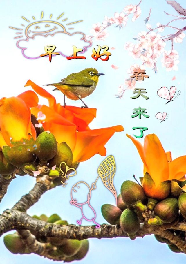 清晨群发短语暧心问候动图|心房|远方|友情|梦想