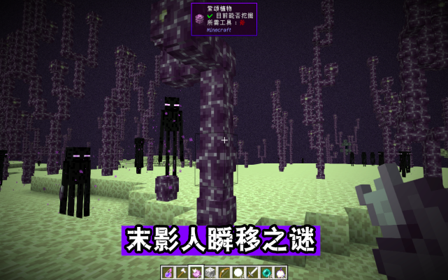 Minecraft隐藏的秘密 Mojang不解释 或许我们永远也不知道 Mojang 不解释 废弃矿井 紫颂果 我的世界