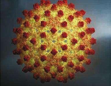 春季吃海鲜会传染甲肝海鲜到底还能不能吃告诉你正确做法