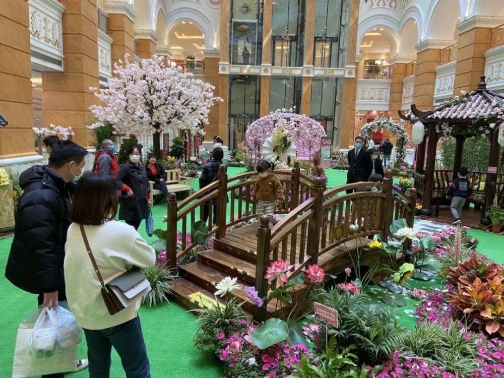 被疫情 冻结 的 上海购物 正渐回申城大街小巷 腾讯新闻