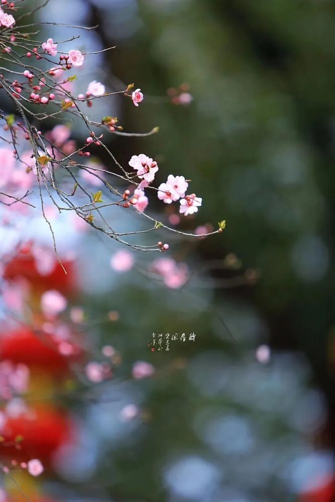 无锡正式入春啦