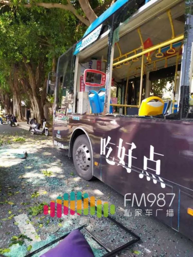 pong福州117路公交車連撞路邊榕樹兩側玻璃全碎乘客受傷