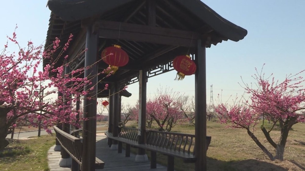 受到新冠肺炎疫情的影响,截至目前,伊芦山梅园仍然没有对外开放.