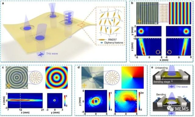 图1 (a)结构取向的液晶聚合物柔性膜对太赫兹波前调控示意图;(b)光束