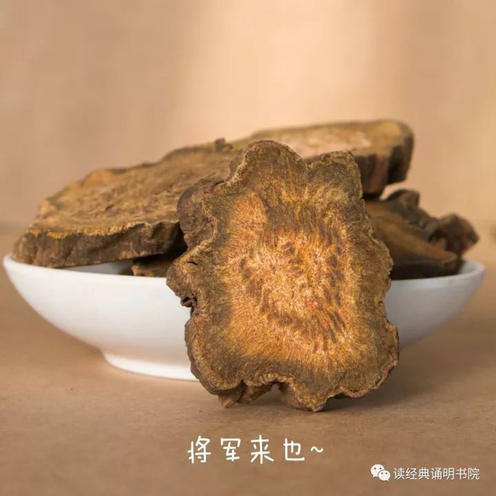 驭繁为简,一味药也能治大病(65种单方大全)