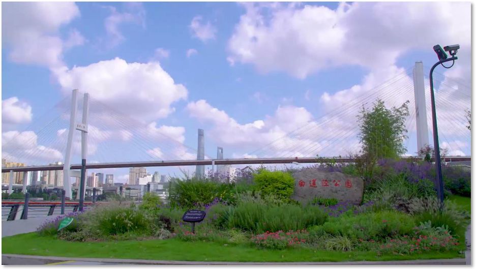 浦东新区南码头路街道被命名为上海市园林街镇