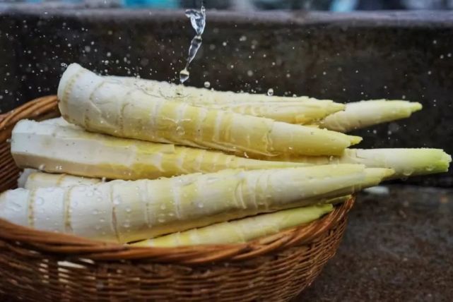 产地食材▎食过春笋,才知春之味,不能出门,不如把春天"请"进家门