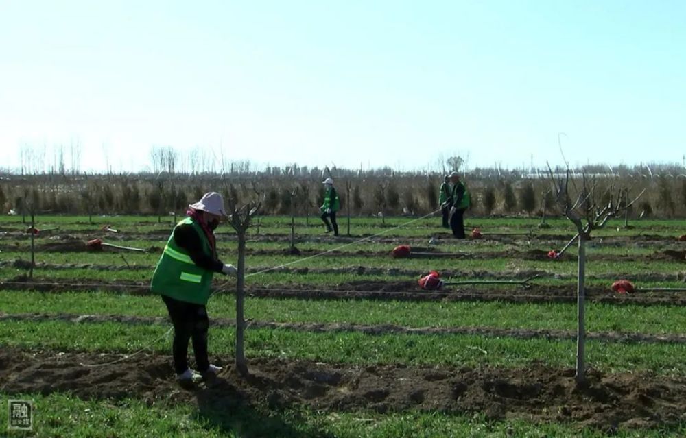 固安县2020幼儿园排名_重磅!固安这个地方将迎来大发展!新建高铁、购物中