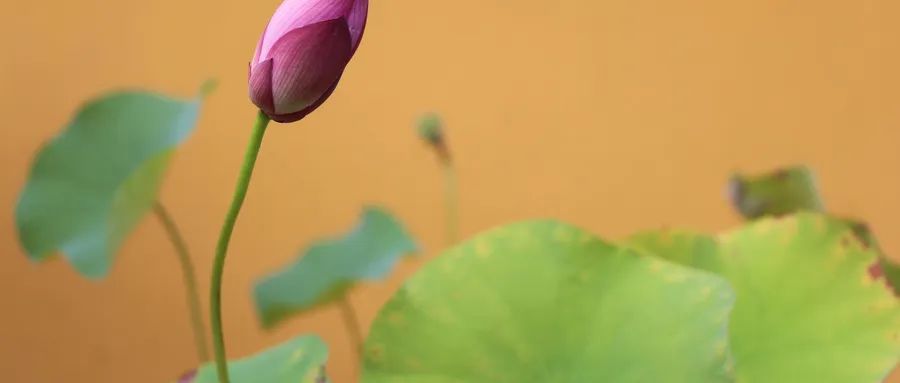 孩子|比没钱更可怕的，永远是这两个字