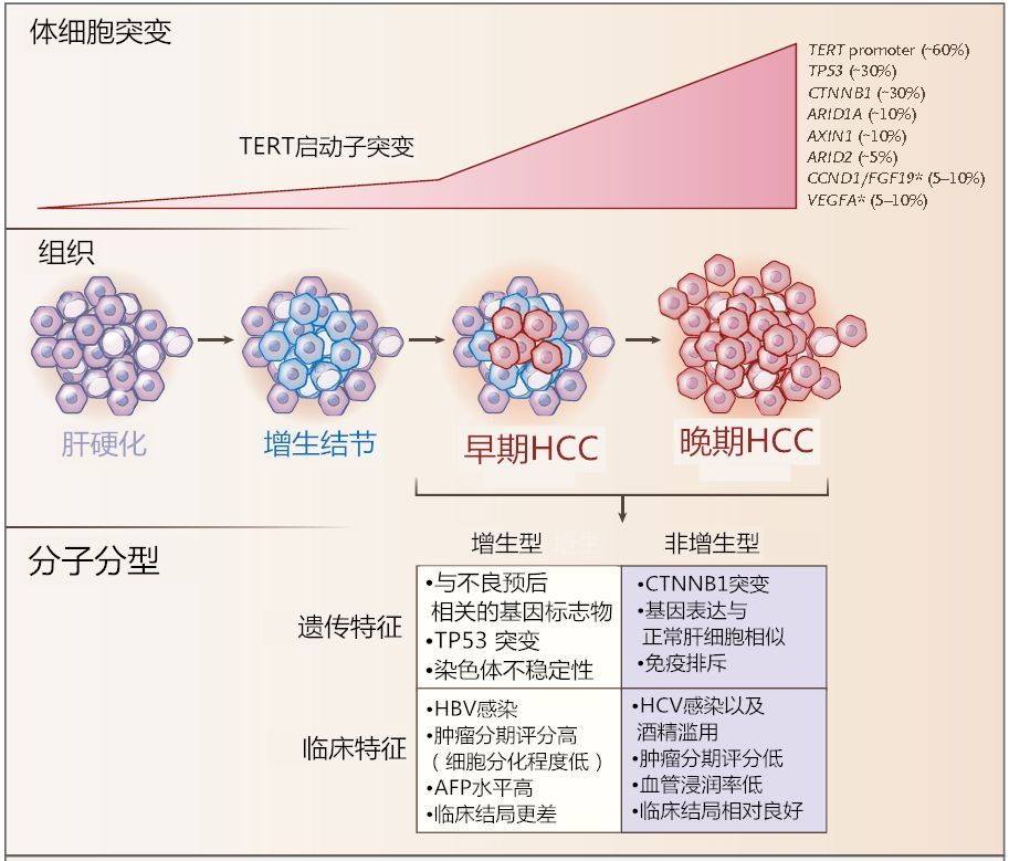 Nejm深度综述 肝细胞性肝癌 腾讯新闻