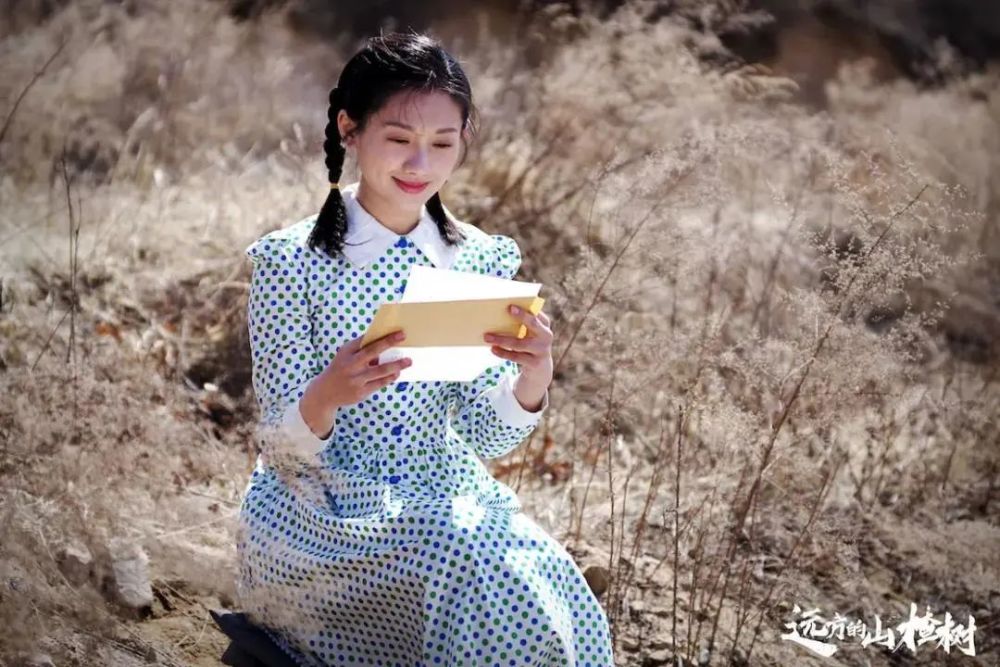 龙江制造远方的山楂树与你相约央视