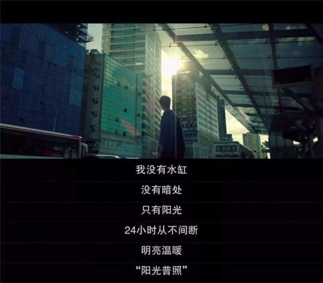 豆瓣评分84阳光普照太过懂事的孩子都是带着伤疤长大的