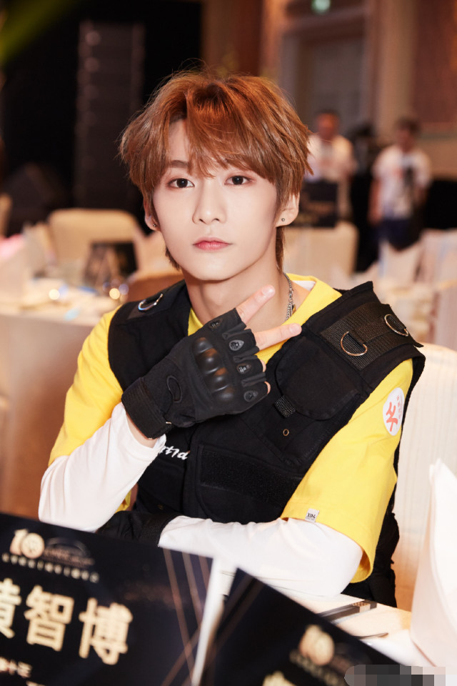 黄智博诈骗挥霍殆尽被判3年多打工的姐姐帮其全额退赃才获轻判