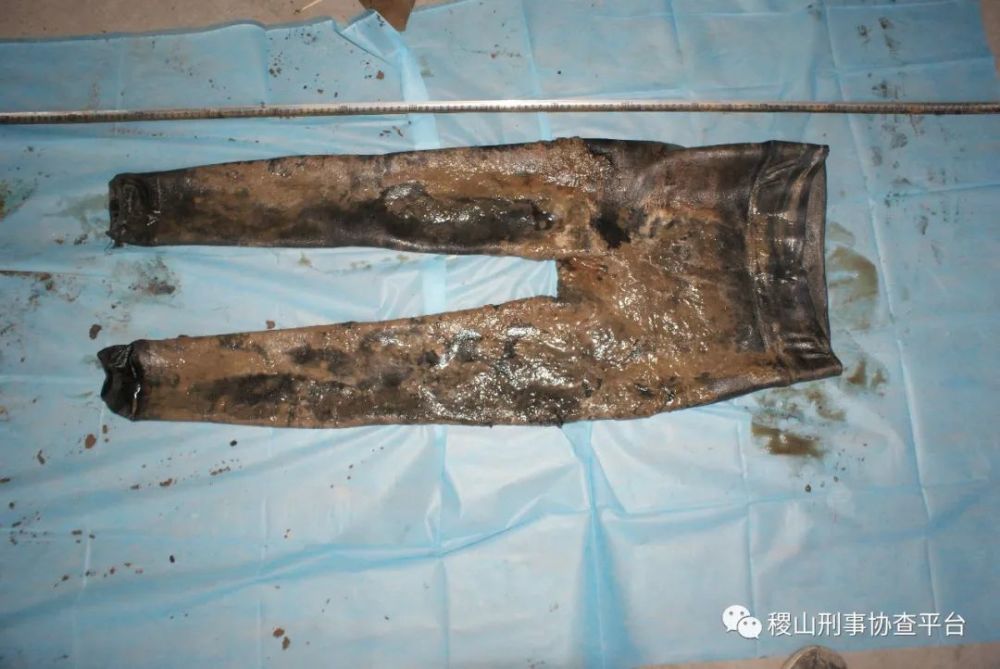 寻找尸源稷山县汾河老桥口西发现一具高度腐败的女性尸体