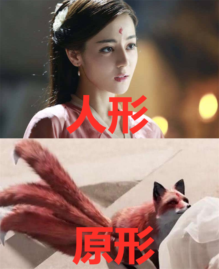 凤九的原形锦觅的原形紫萱的原形看到夜华原形不厚道地笑了