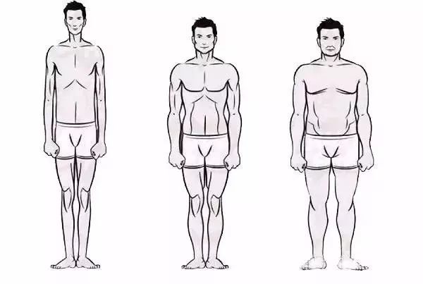 不同身型的人男生们该怎样锻炼,才能获得好身材呢?