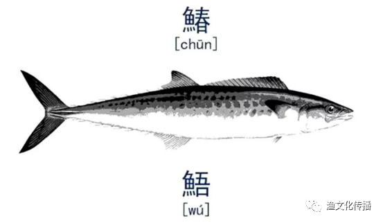 喝茶要喝明前茶吃鱼得吃明前鱼