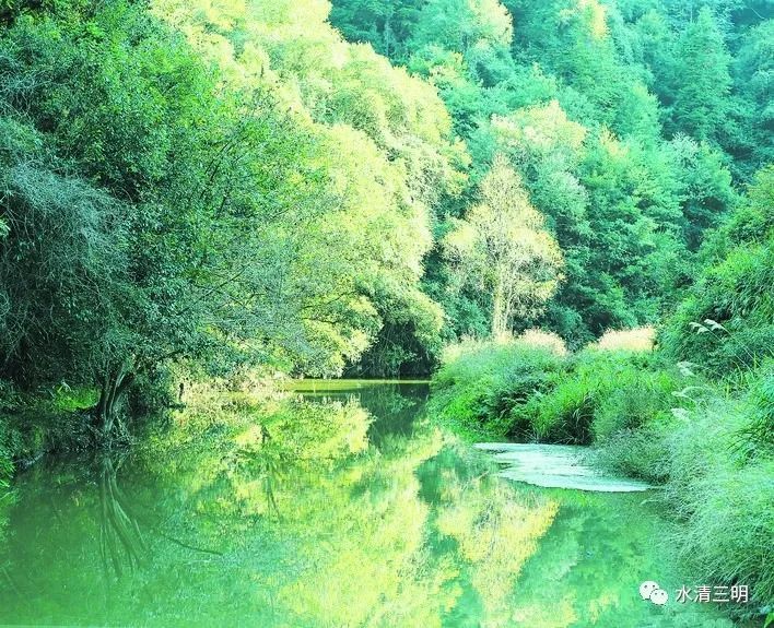 溪河水暖春光动,三明这里竟然藏了三条有故事的溪
