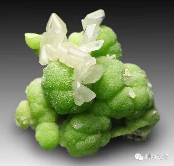 银星石|太少见了！石头开花，见者好运！