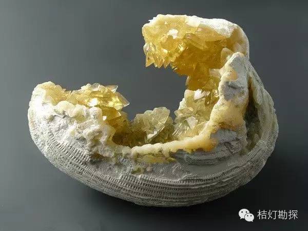 银星石|太少见了！石头开花，见者好运！