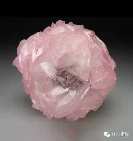 银星石|太少见了！石头开花，见者好运！
