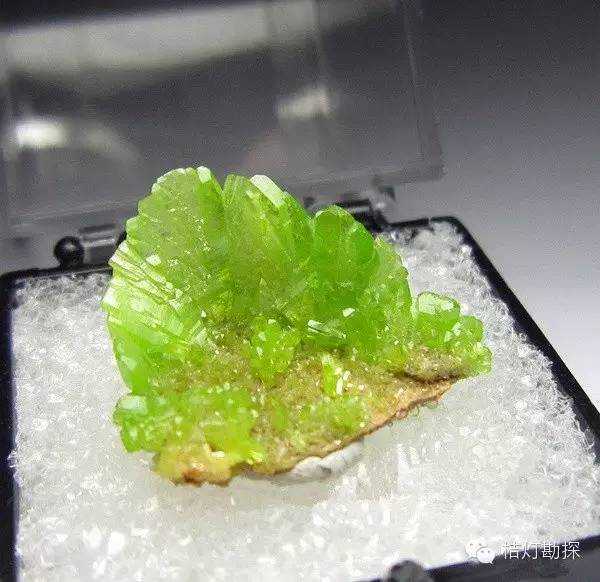 银星石|太少见了！石头开花，见者好运！