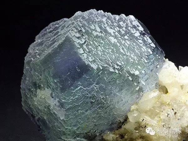 银星石|太少见了！石头开花，见者好运！