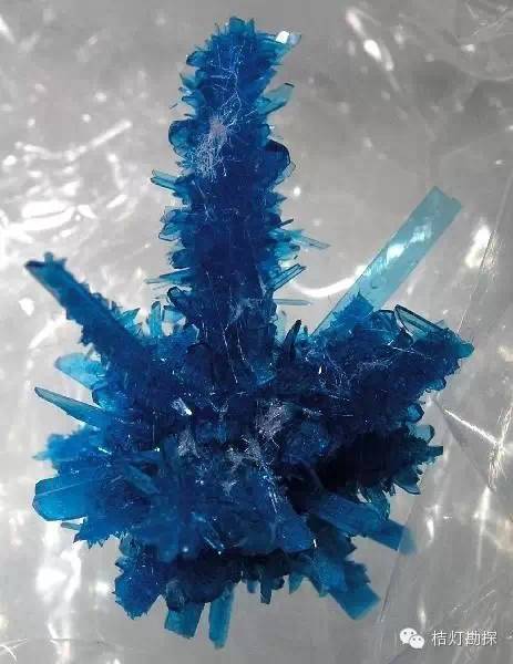 银星石|太少见了！石头开花，见者好运！