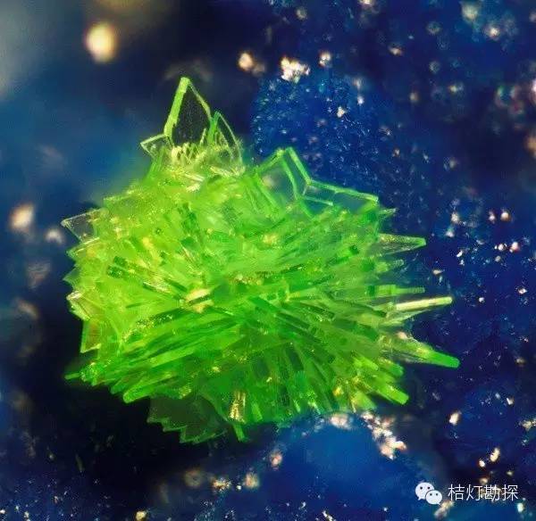 银星石|太少见了！石头开花，见者好运！